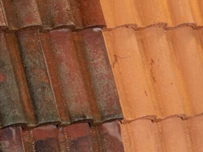 Roof Cleaning & Coating East Anglia