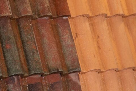 Roof Cleaning & Coating in East Anglia